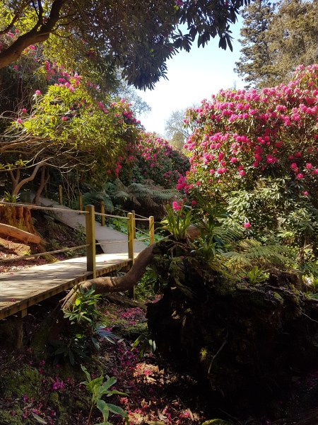 The Lost Gardens of Heligan